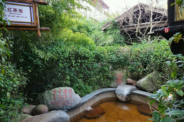 红茶池